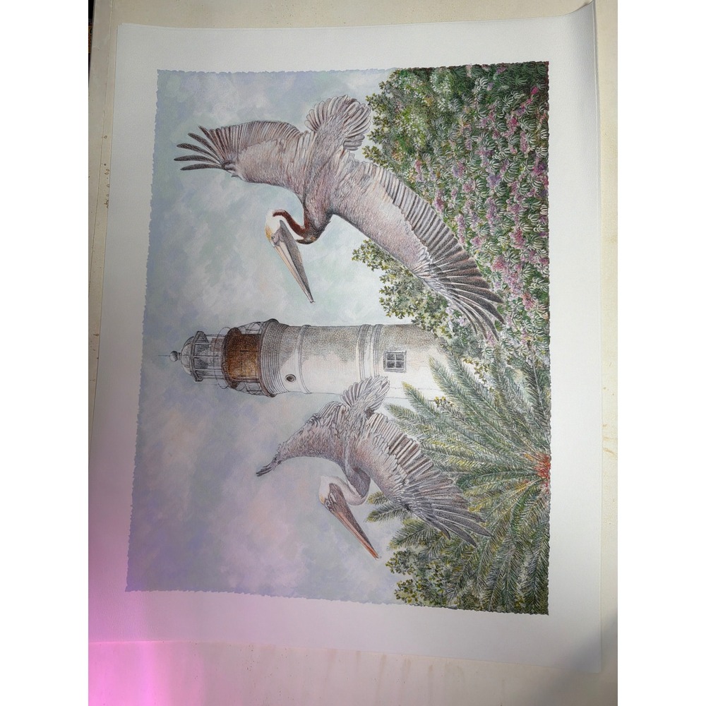 Vintage Coastal Lighthouse Pelican Art Print Unisex 22x28 Multicolor Excellent